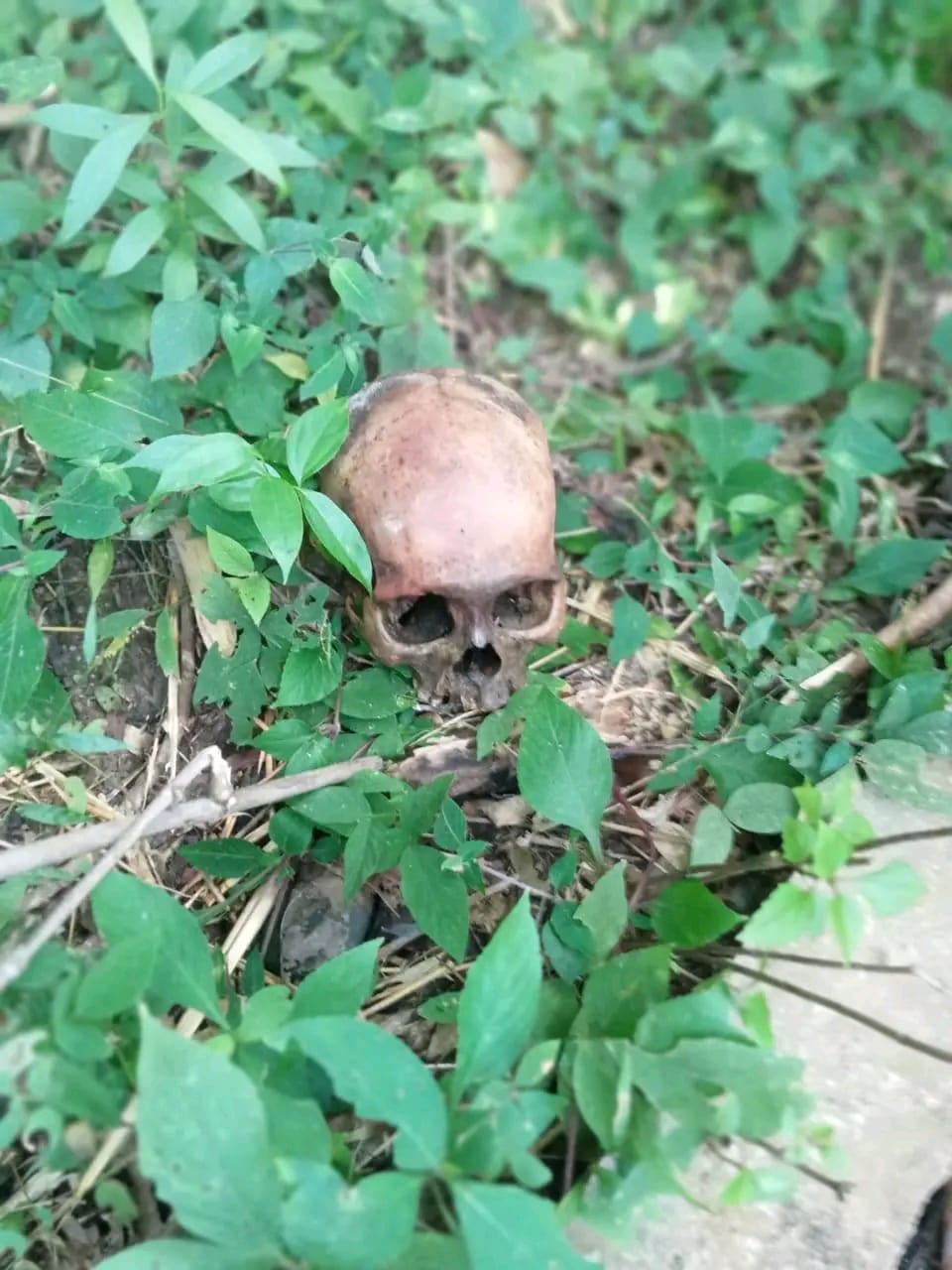 प्यूठानमा मानव कङ्काल फेला