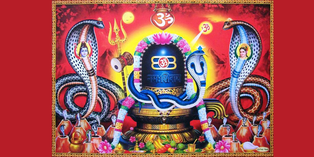 नागपञ्चमी, गुरही र गुडिया पर्वले सामाजिक सद्भाव बलियो बनाउँछः मुख्यमन्त्री आचार्य